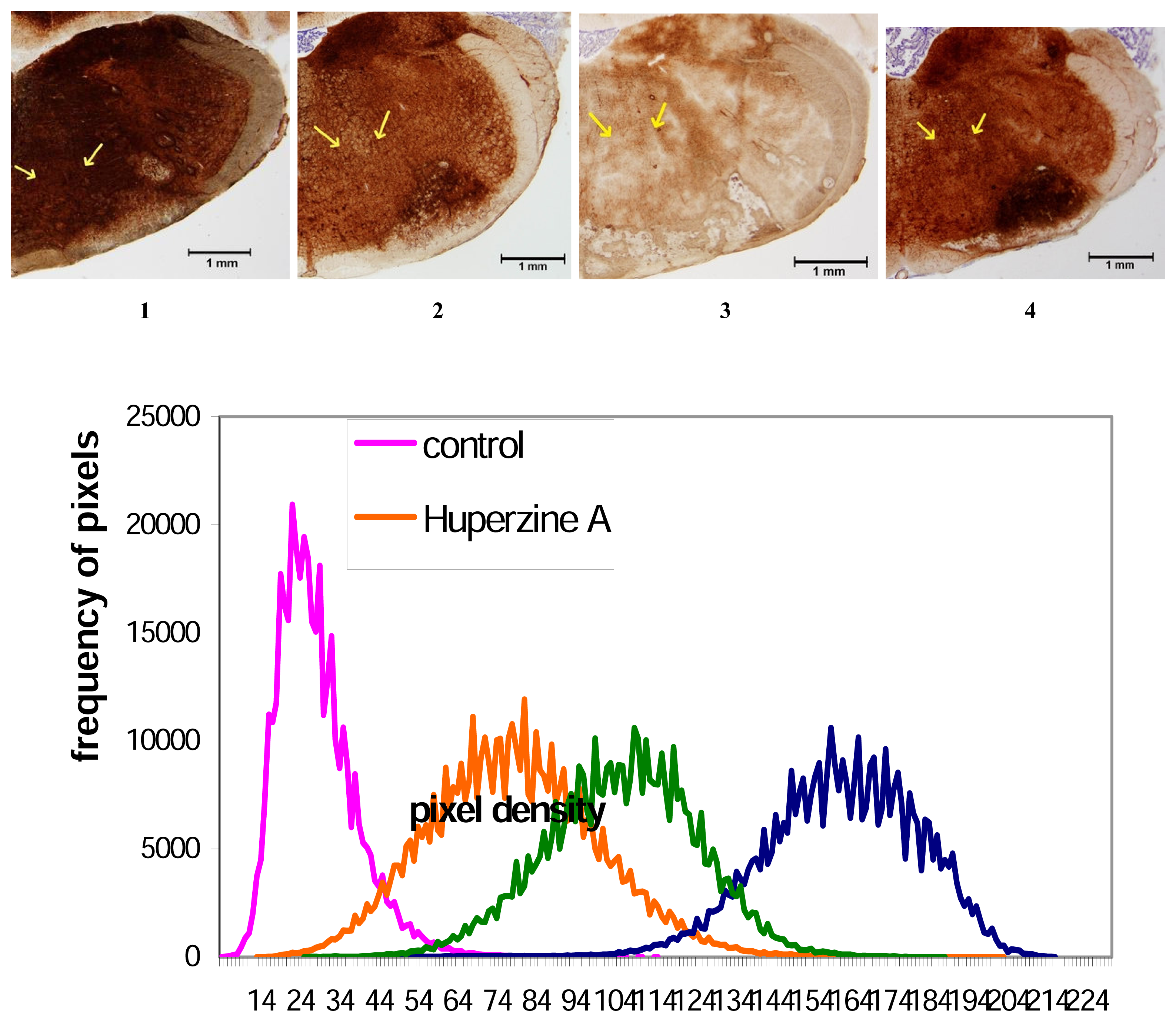 Ijms 08 01165f1 1024
