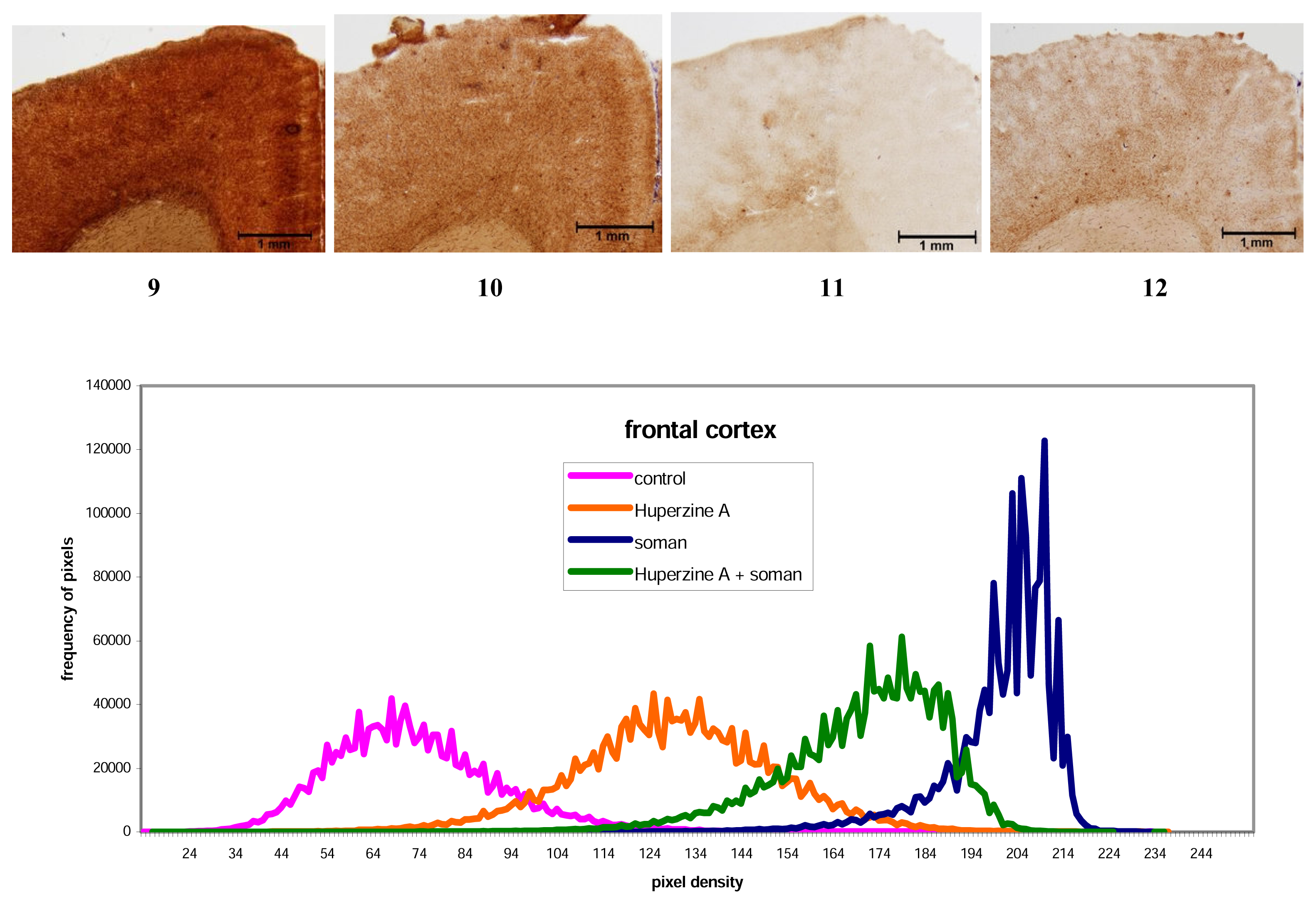 Ijms 08 01165f3 1024