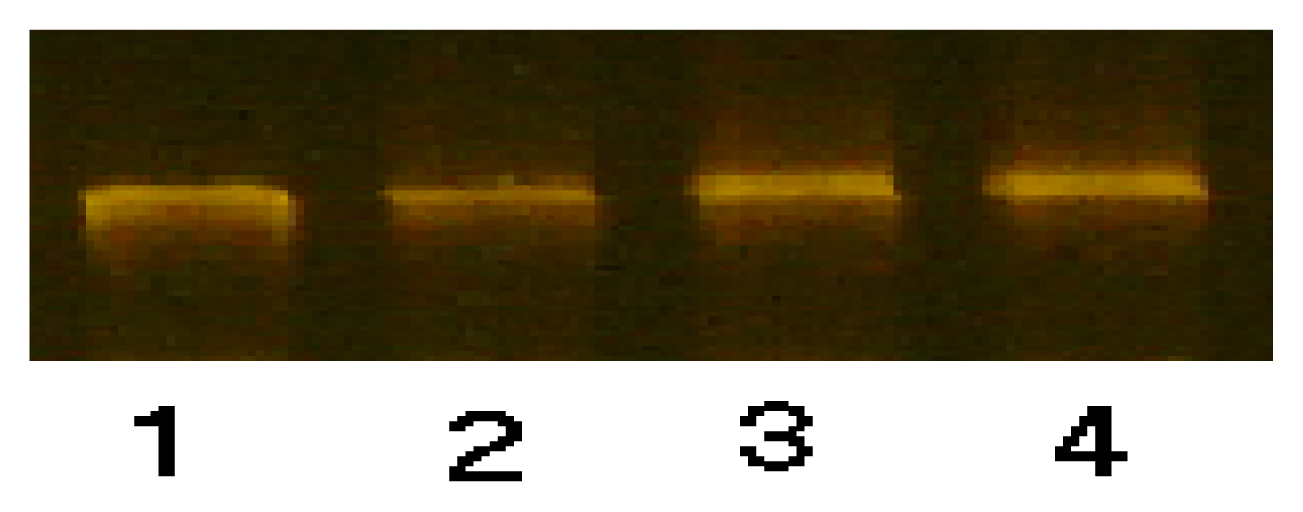 Ijms 08 01225f2 1024