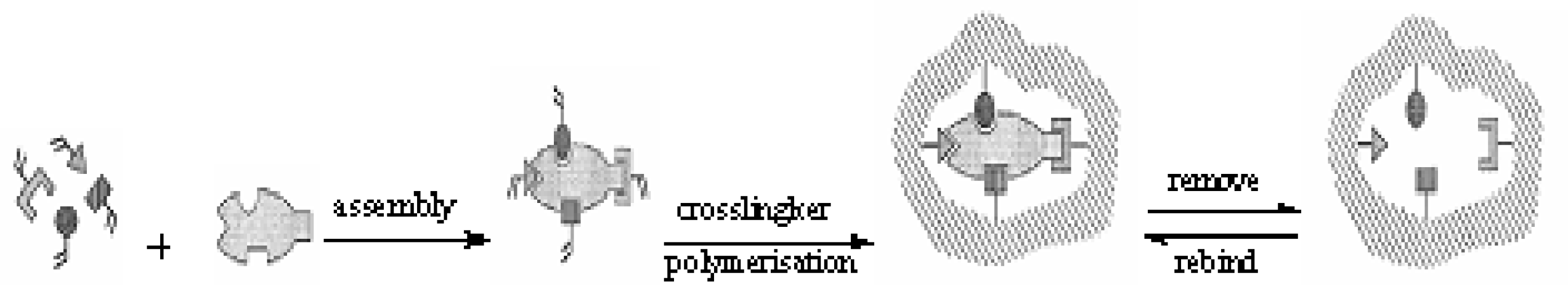 Ijms 09 00098 f1
