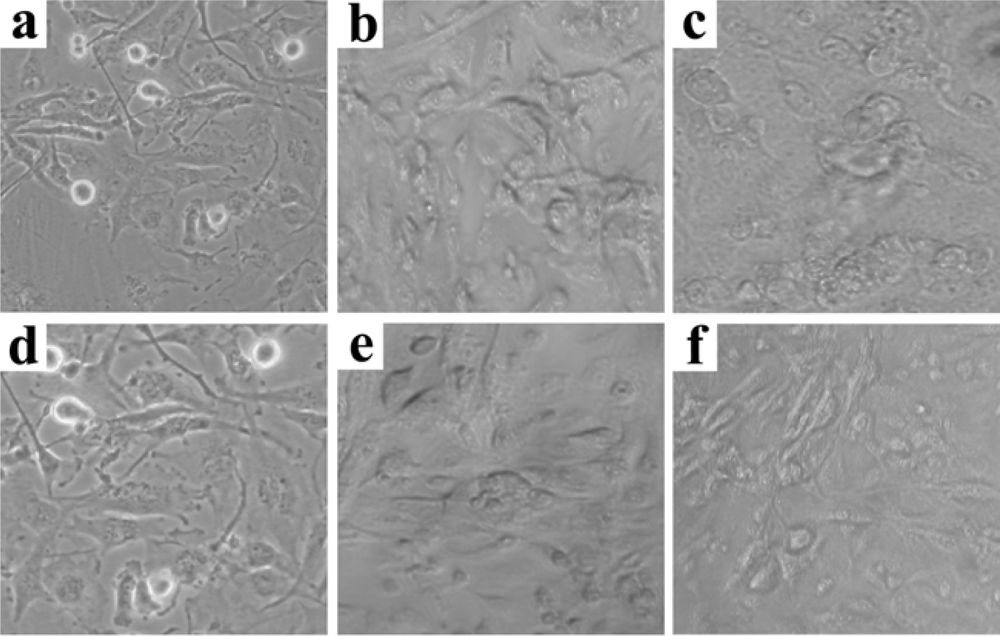 Ijms 09 01407f3 1024