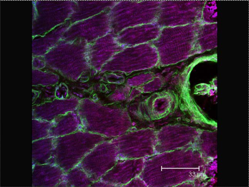 Ijms 09 01472f1 1024