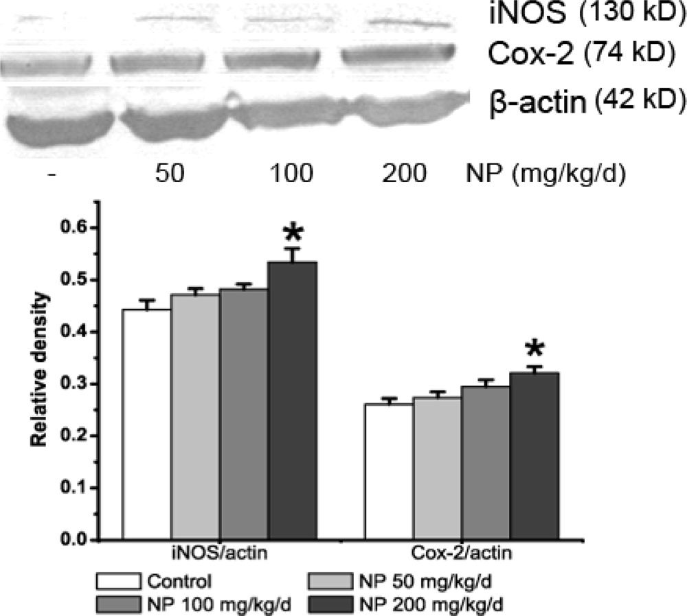 Ijms 09 01977f2 1024