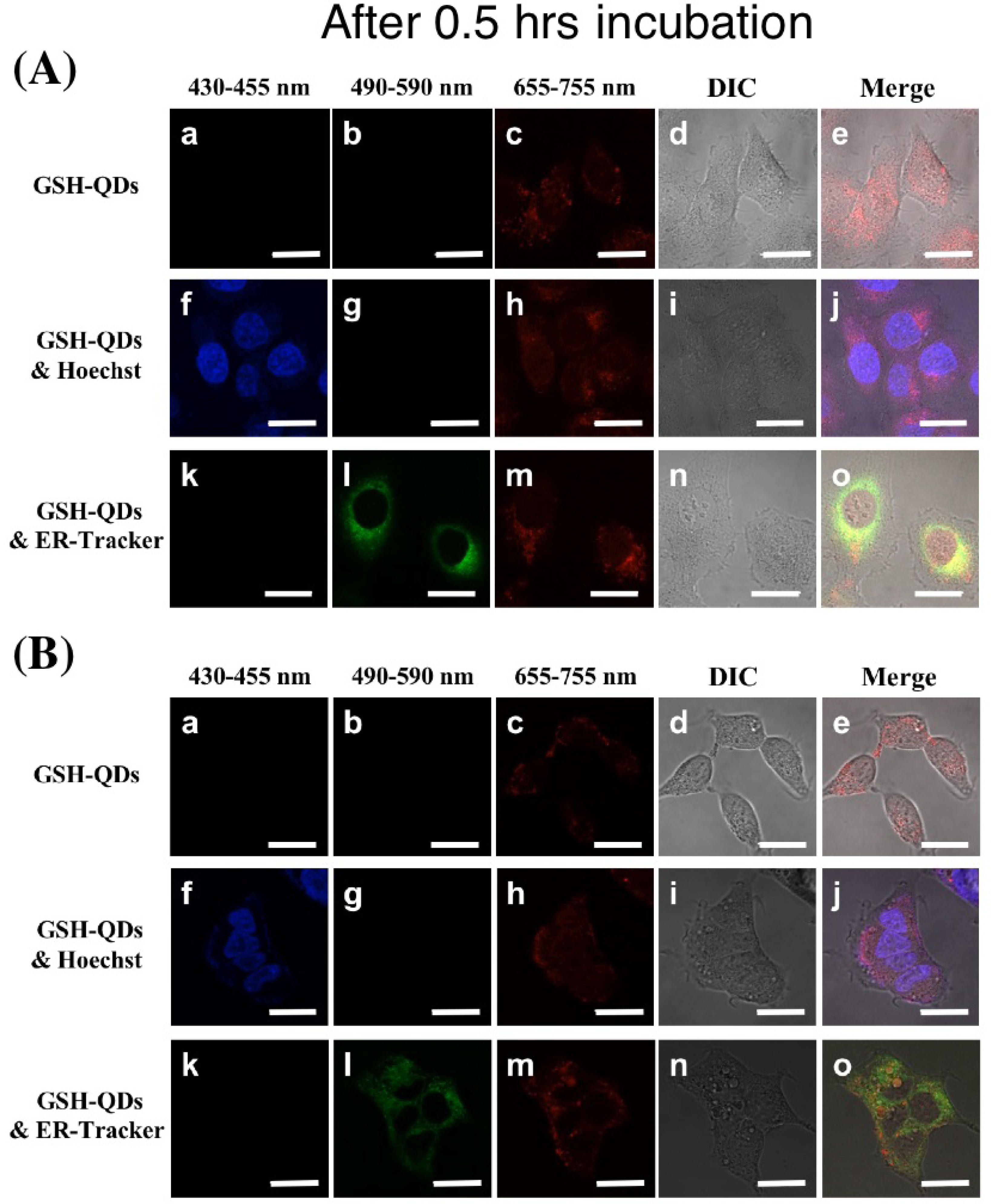 Ijms 09 02044f7a 1024