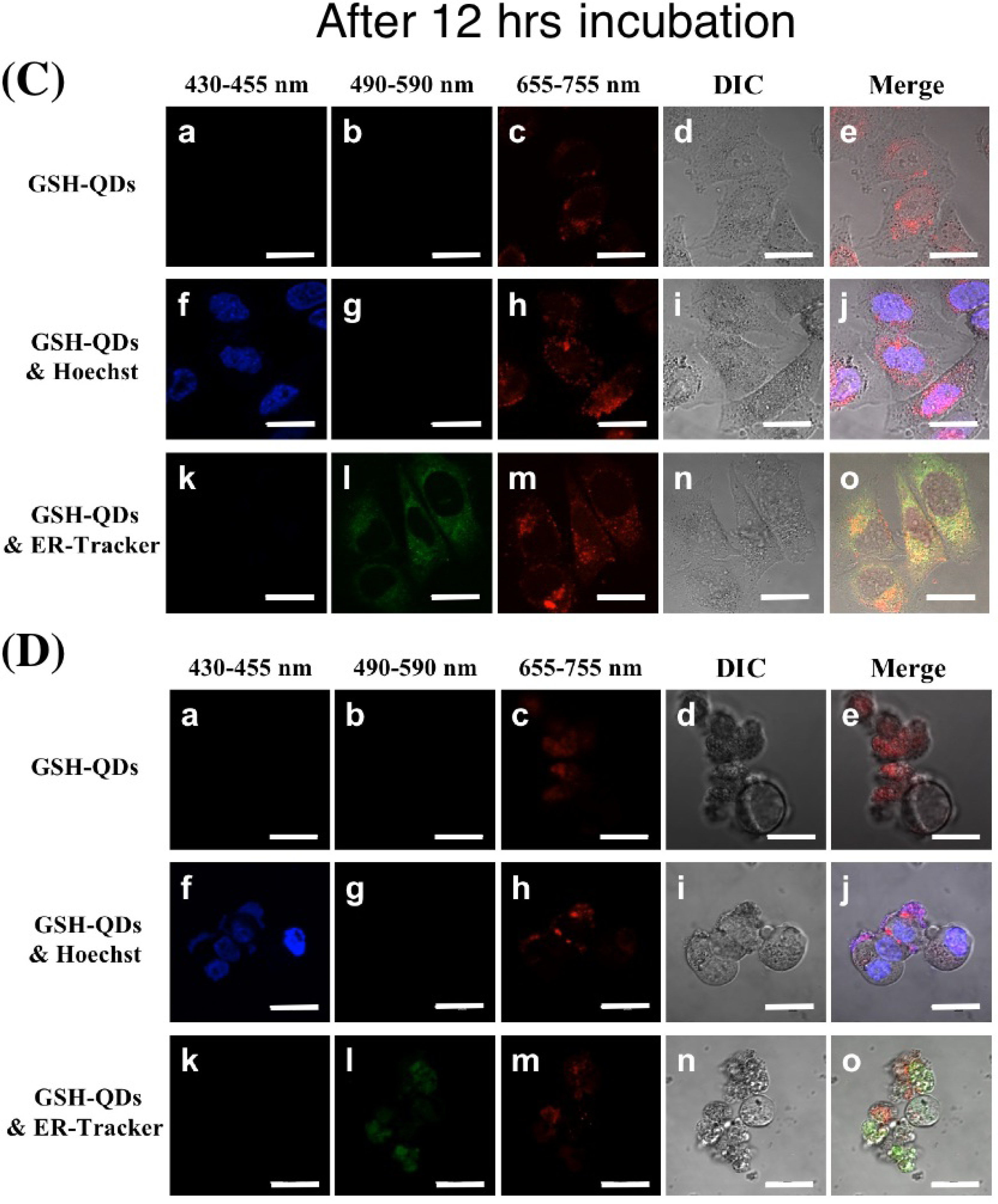 Ijms 09 02044f7b 1024