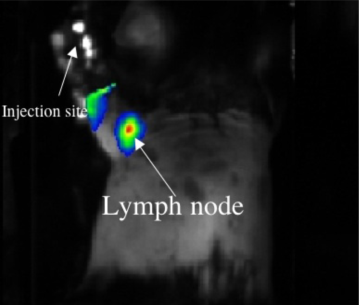 Ijms 09 02044f9 1024