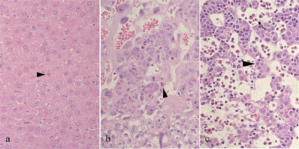 Ijms 09 02146f1 1024