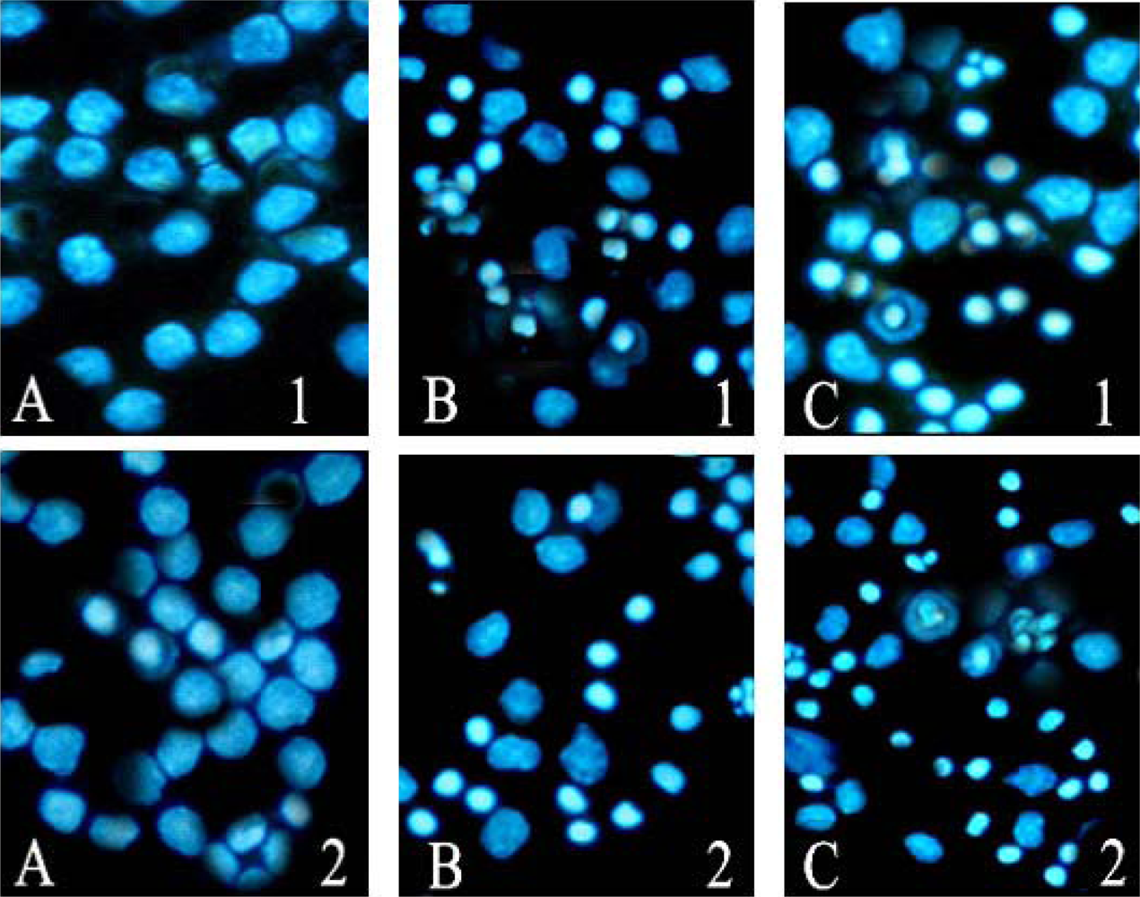 Ijms 09 02265f5 1024