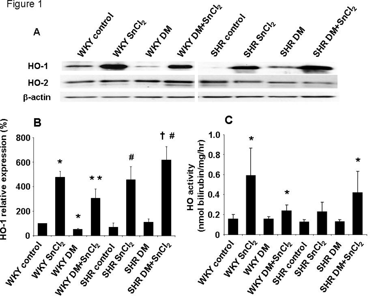 Ijms 09 02388f1 1024