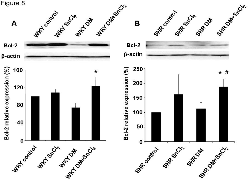 Ijms 09 02388f8 1024