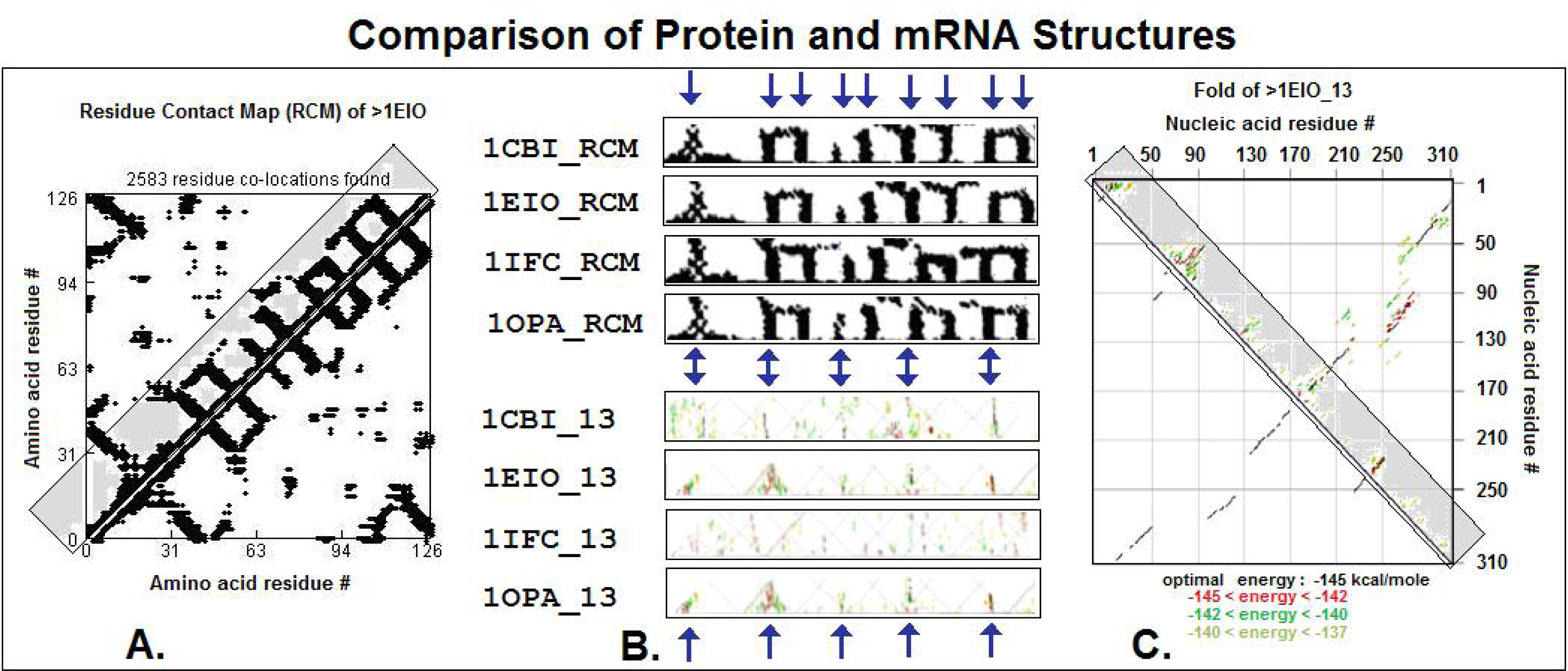Ijms 09 02424f4 1024