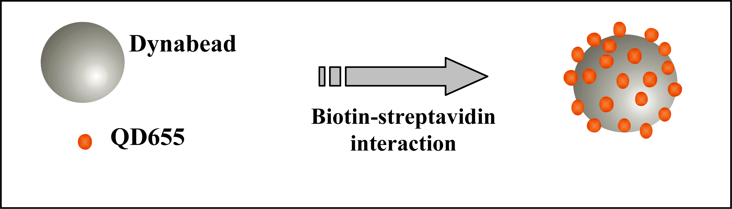 Ijms 09 02622f1 1024