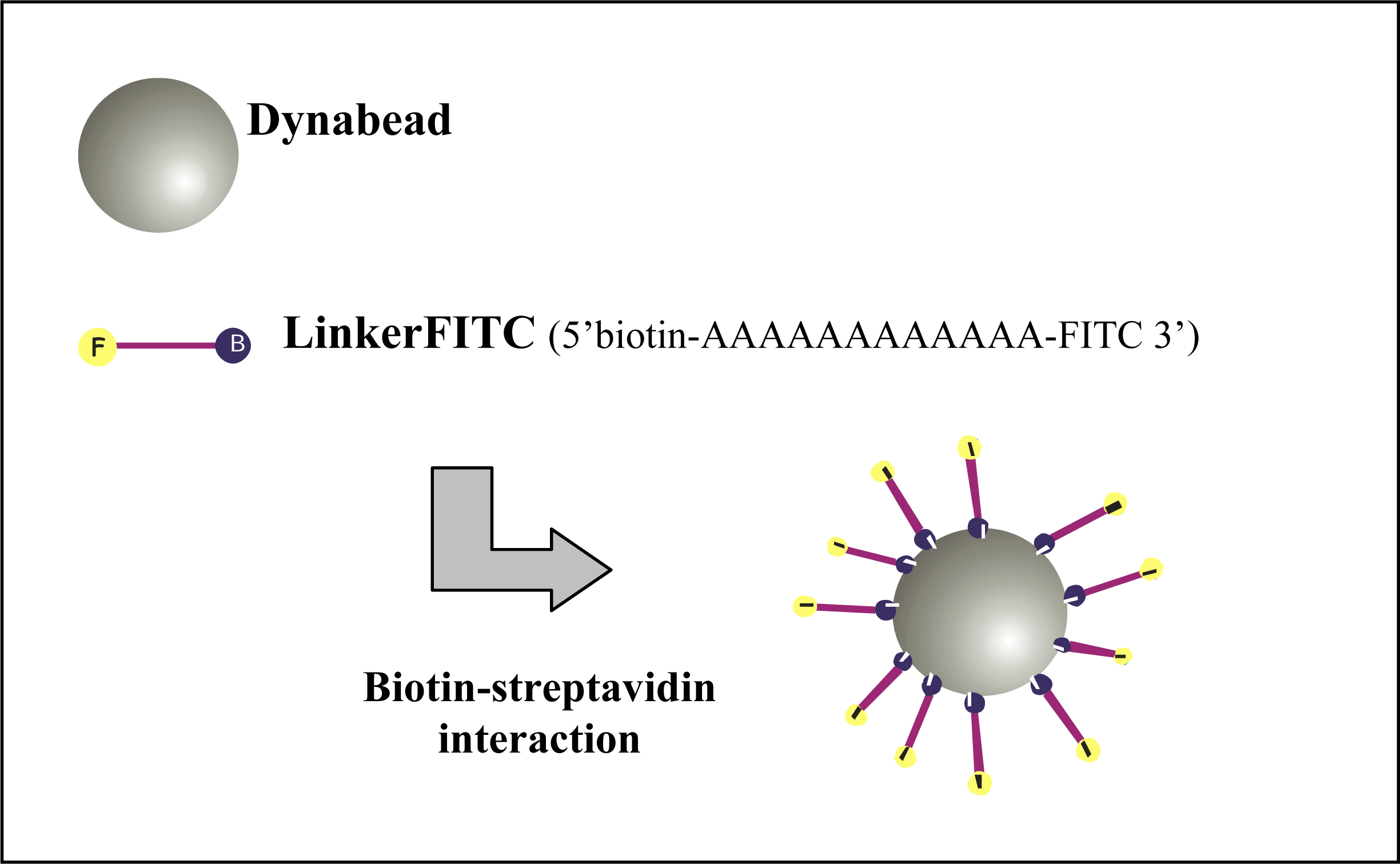 Ijms 09 02622f3 1024