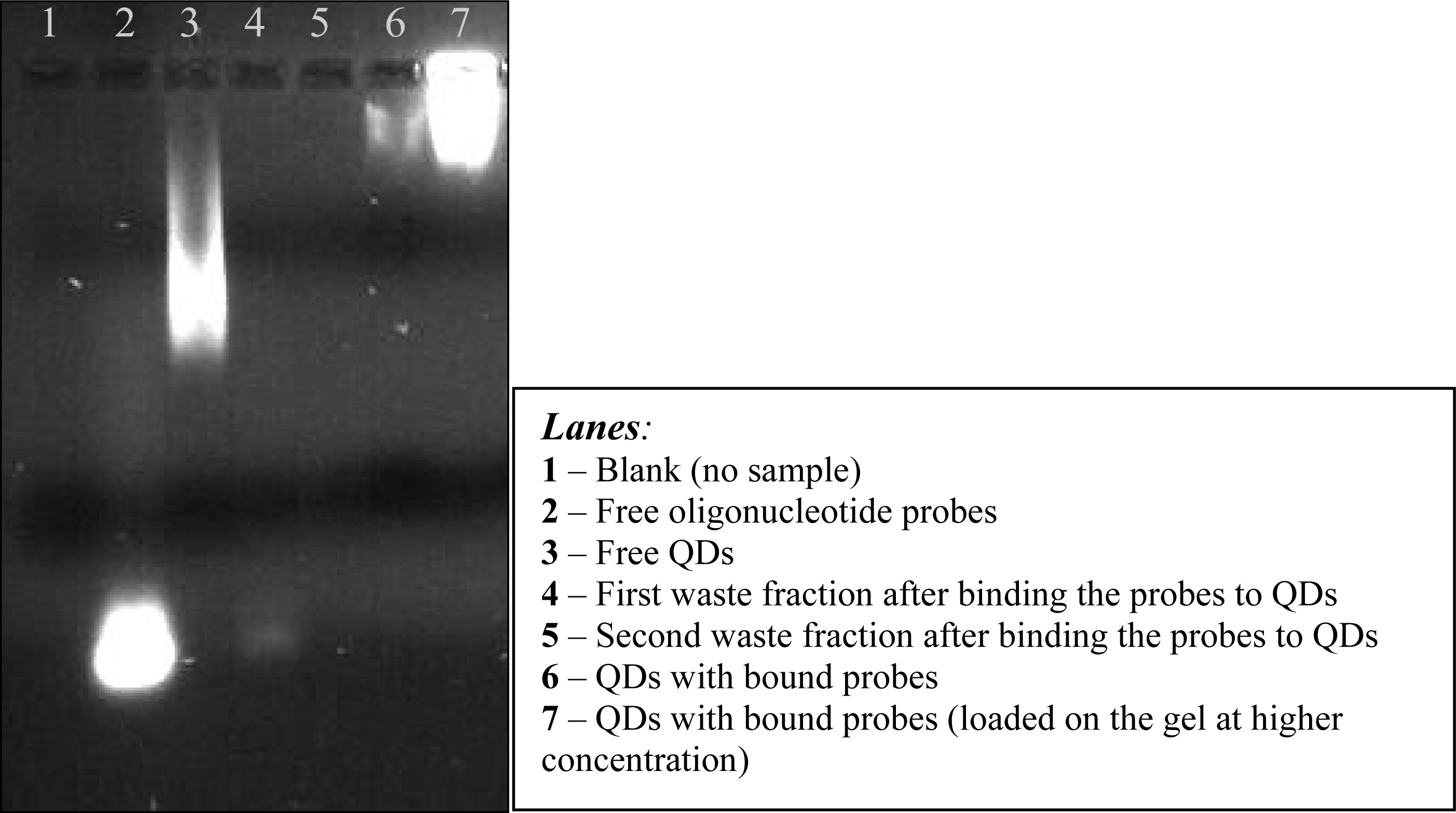 Ijms 09 02622f7 1024