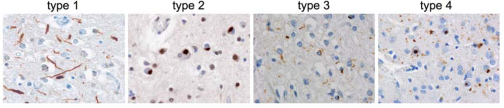 Ijms 10 00232f2