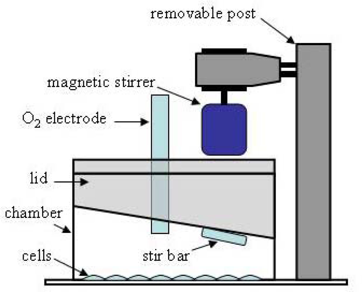 Ijms 10 00702f2 1024