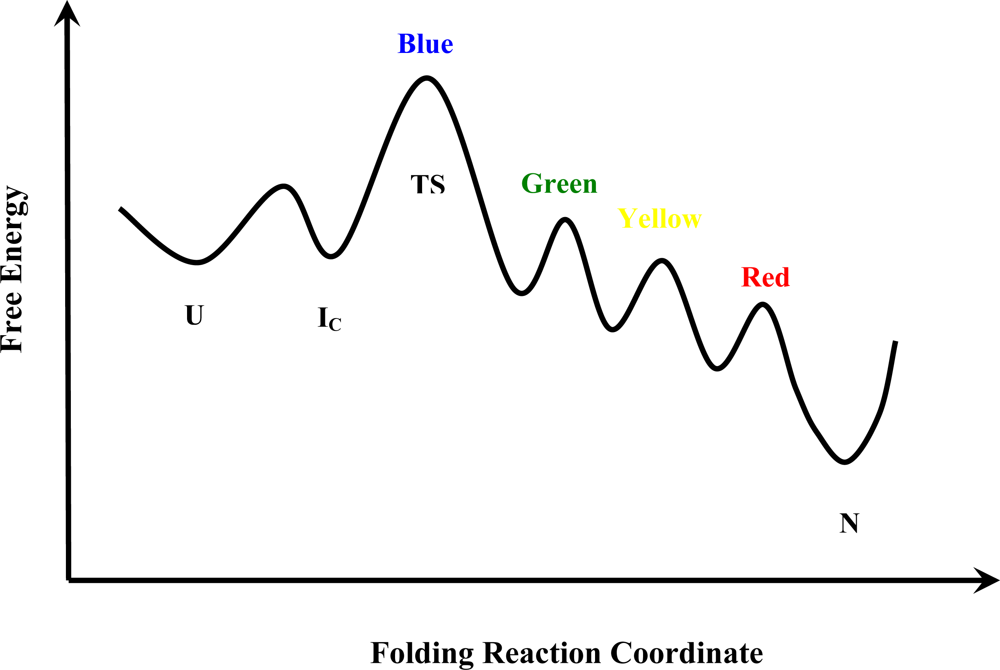 Ijms 10 01476f4 1024