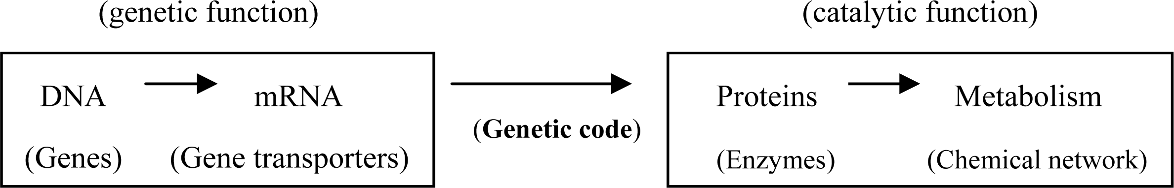 Ijms 10 01525f1