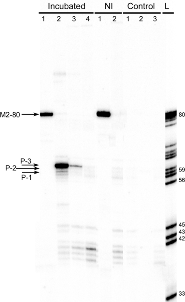 Ijms 10 01788f4