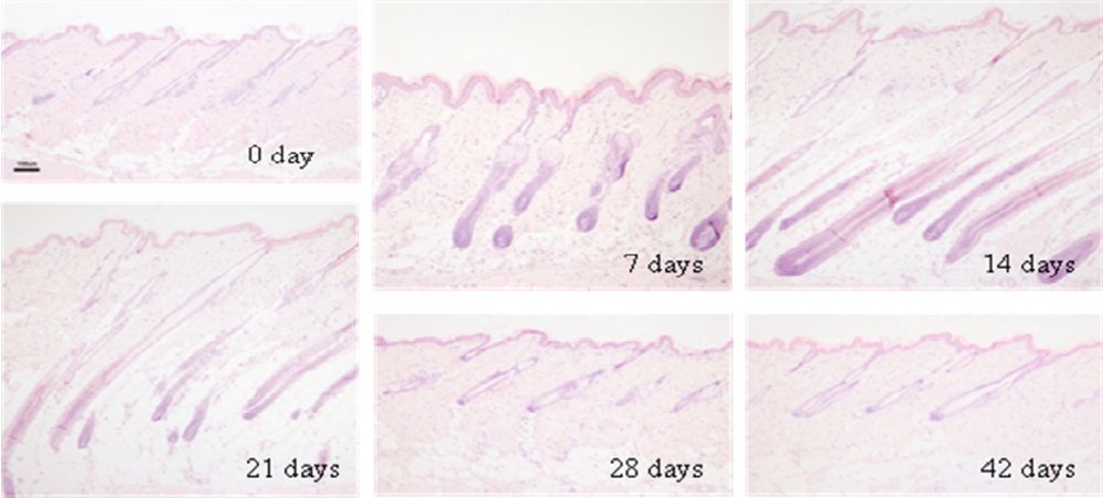 Ijms 10 01967f1 1024