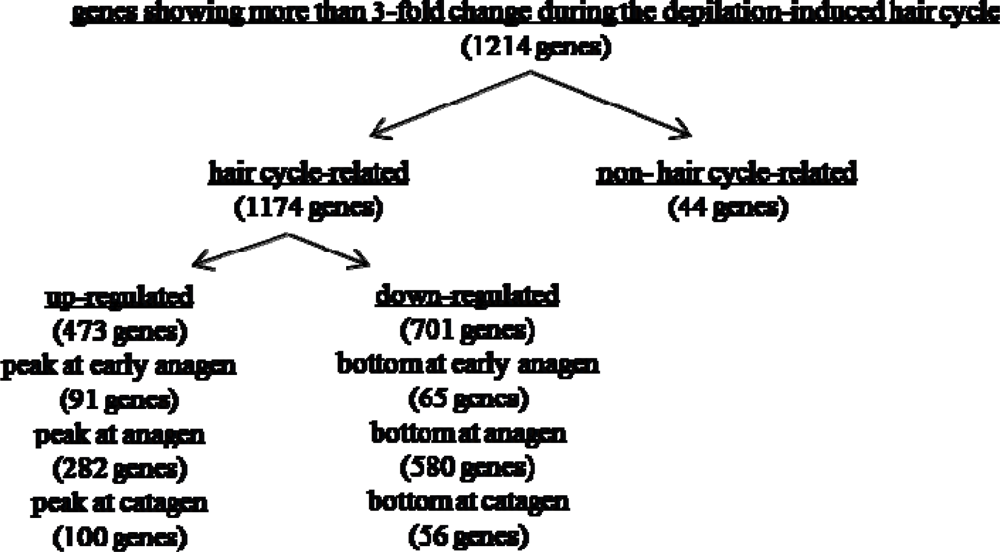 Ijms 10 01967f4 1024