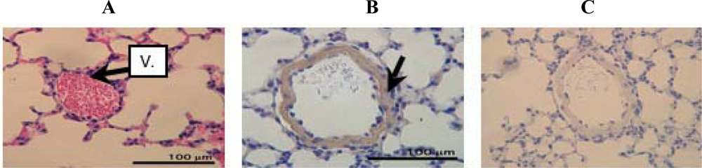 Ijms 10 01999f2