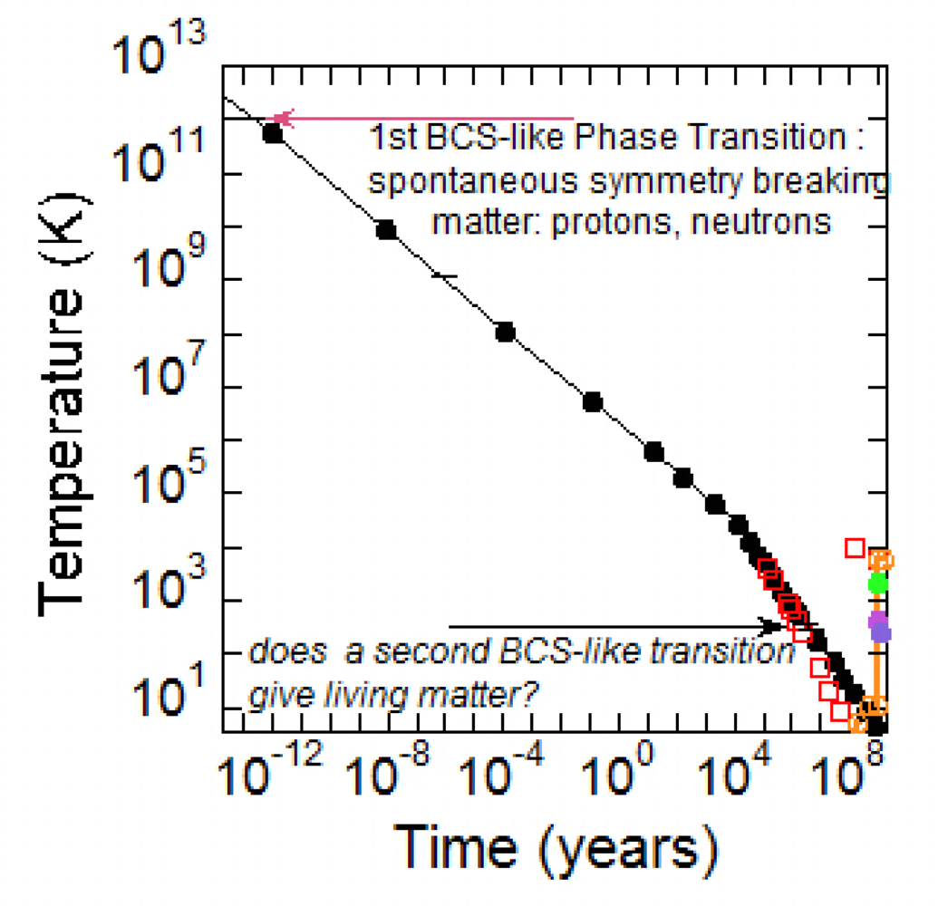 Ijms 10 02084f1
