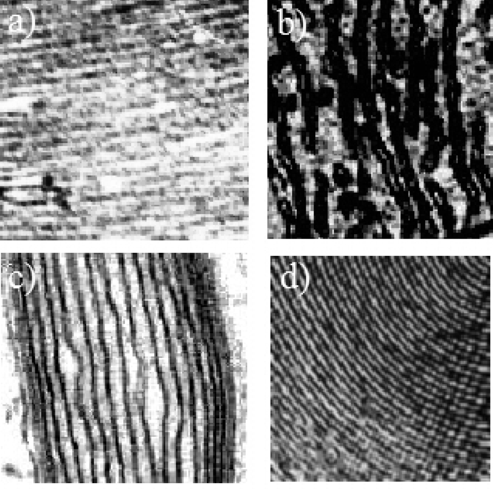 Ijms 10 02084f3
