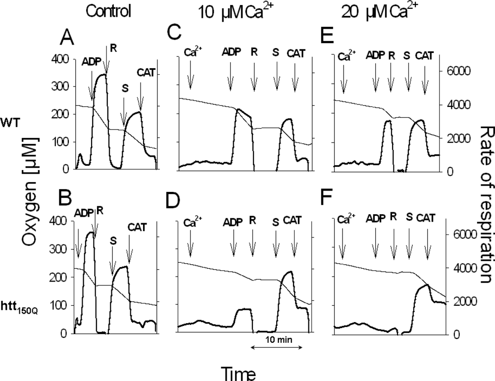 Ijms 10 02252f5 1024