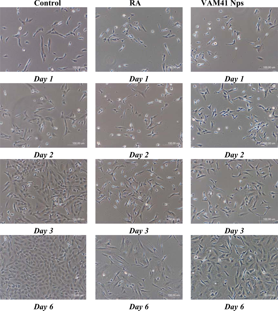 Ijms 10 02336f4 1024