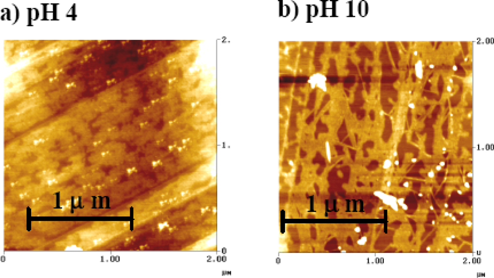 Ijms 10 02348f7 1024