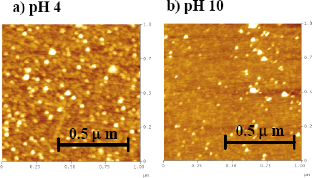 Ijms 10 02348f8 1024