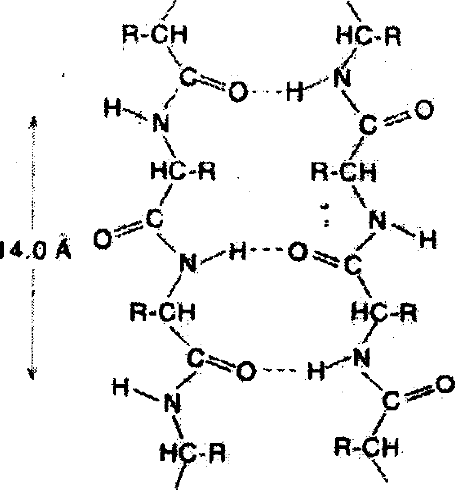 Ijms 10 02383f1