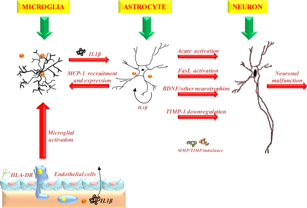 Biophysics in tumor growth and progression: from single