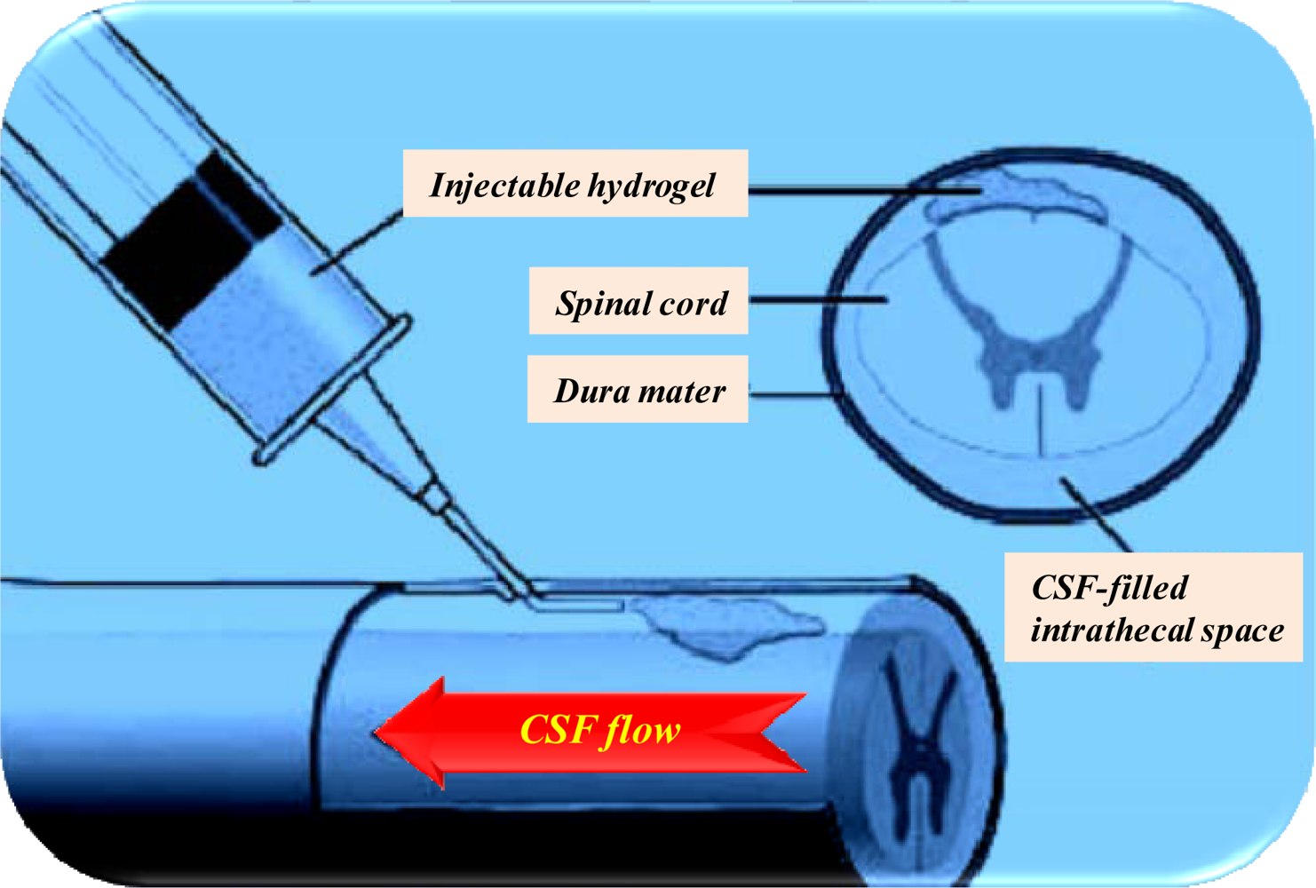 Ijms 10 02510f7 1024