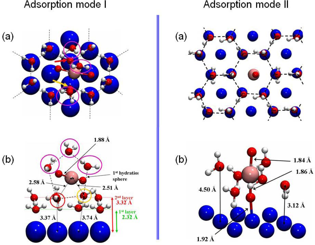 Ijms 10 02633f12 1024