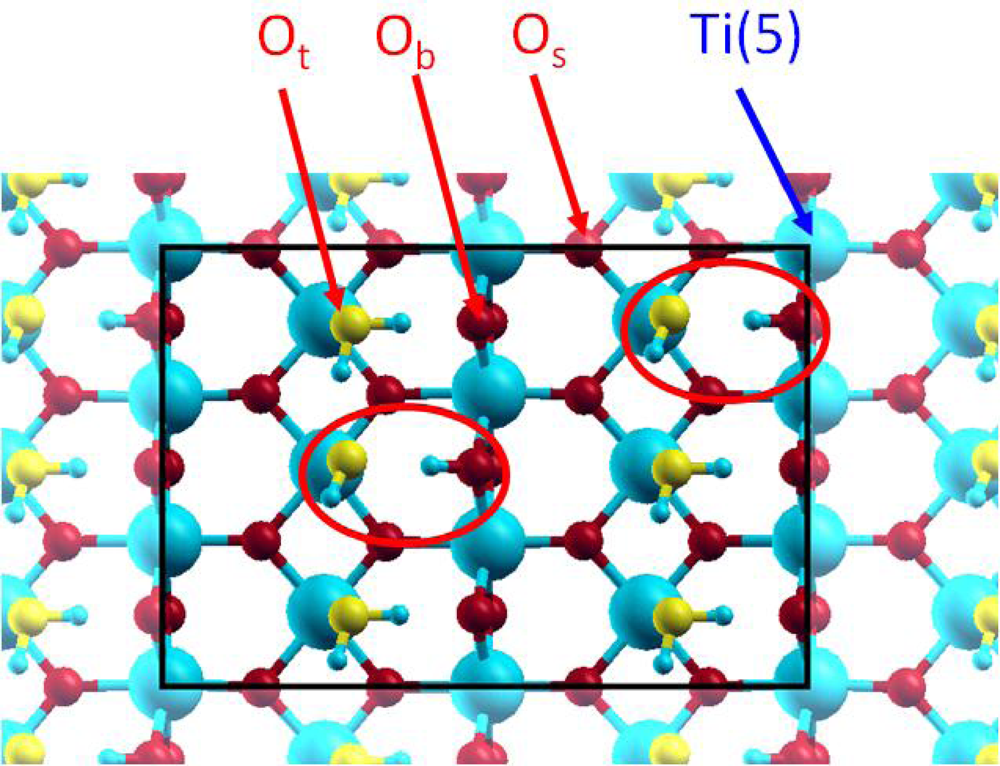 Ijms 10 02633f2 1024