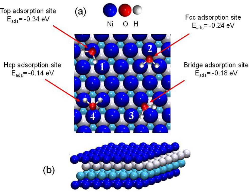 Ijms 10 02633f6 1024