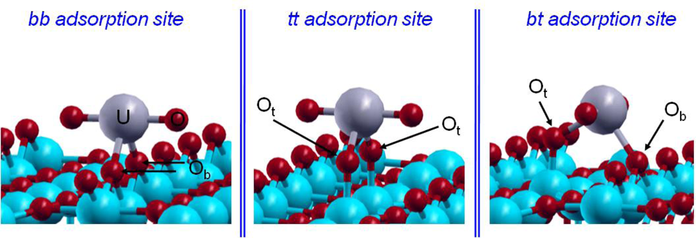 Ijms 10 02633f9 1024