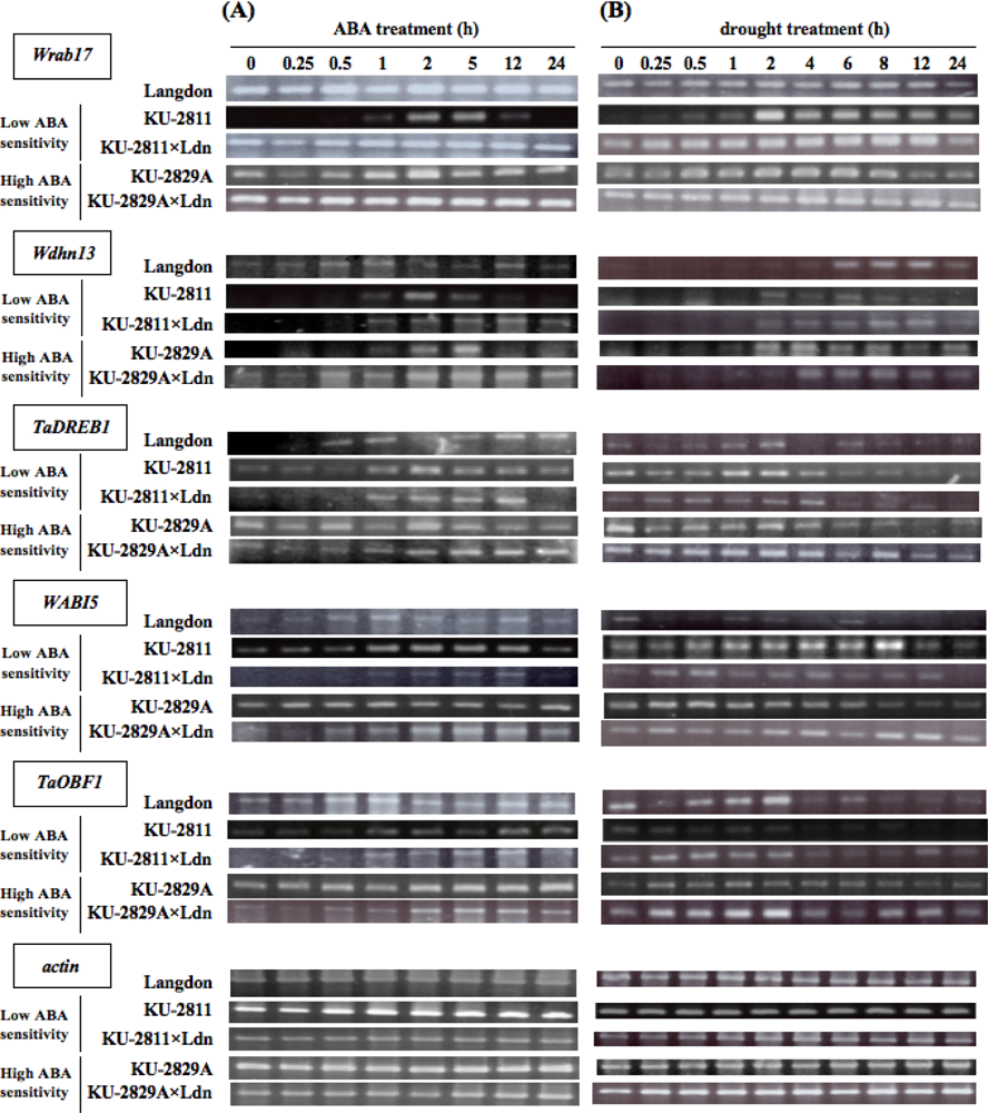 Ijms 10 02733f5 1024