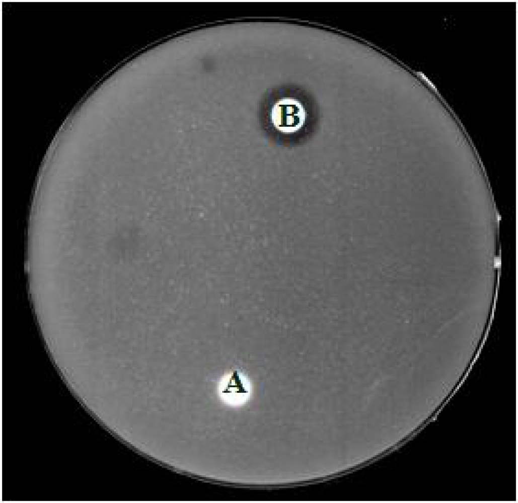 Ijms 10 02860f3 1024