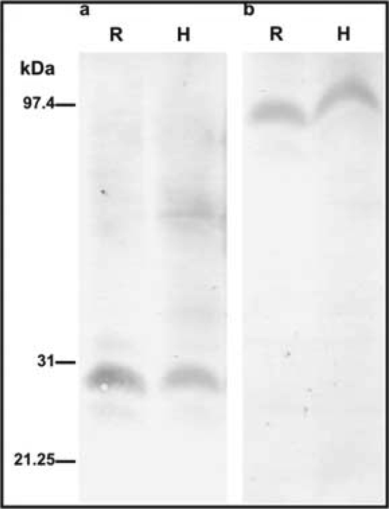 Ijms 10 02896f2 1024