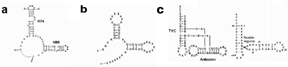 Ijms 10 02921f2