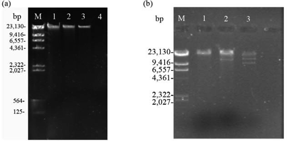 Ijms 10 02999f2 1024