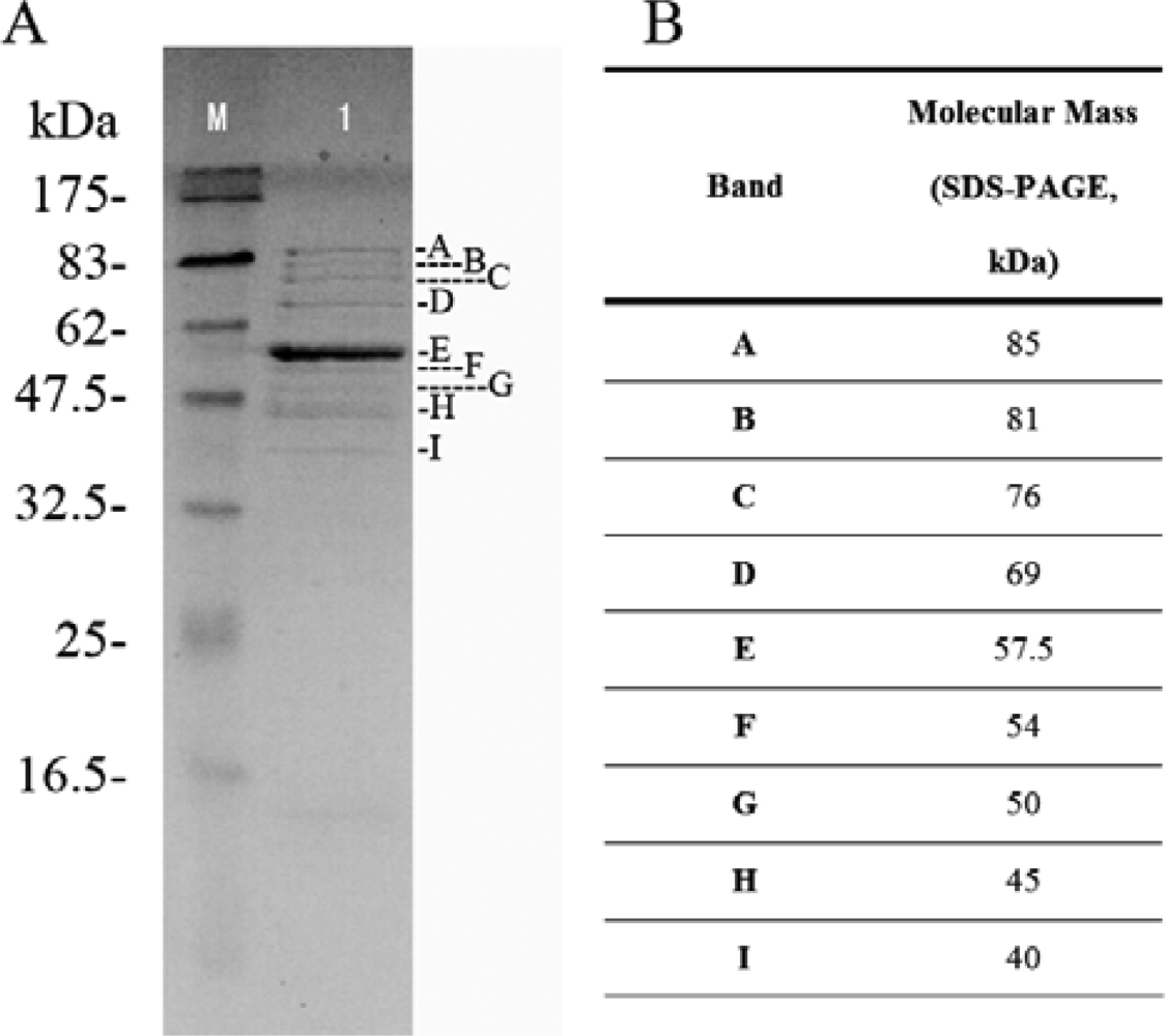 Ijms 10 02999f5 1024
