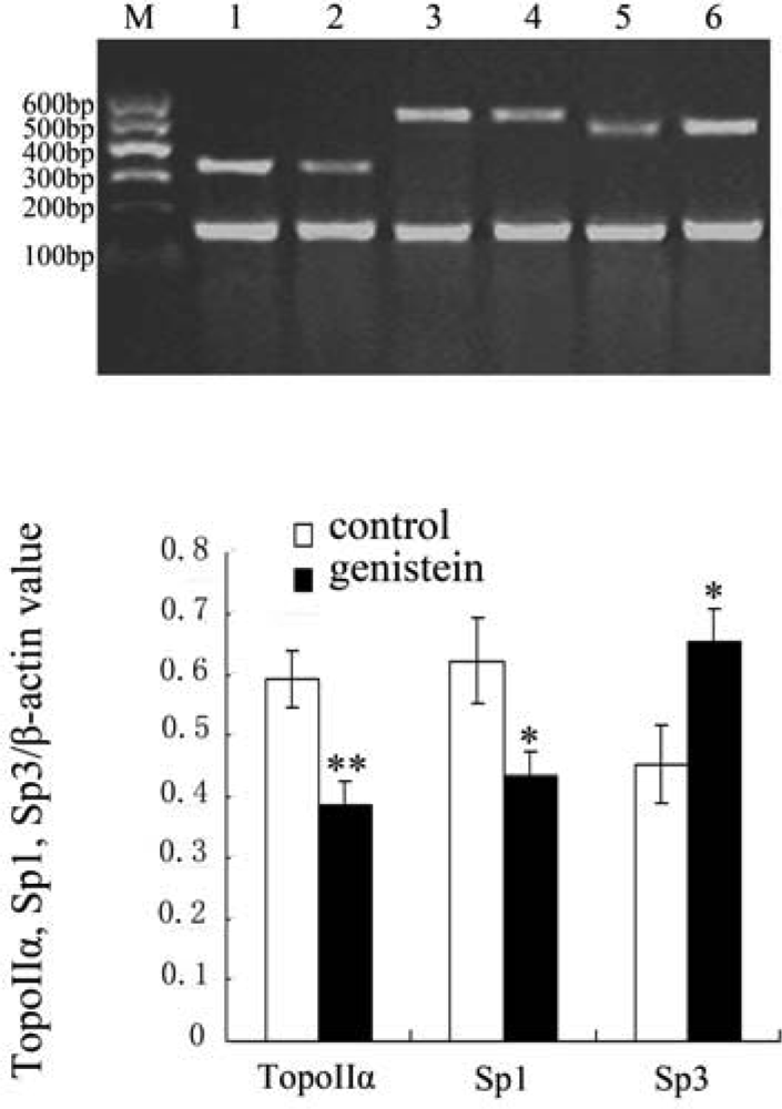 Ijms 10 03255f5 1024
