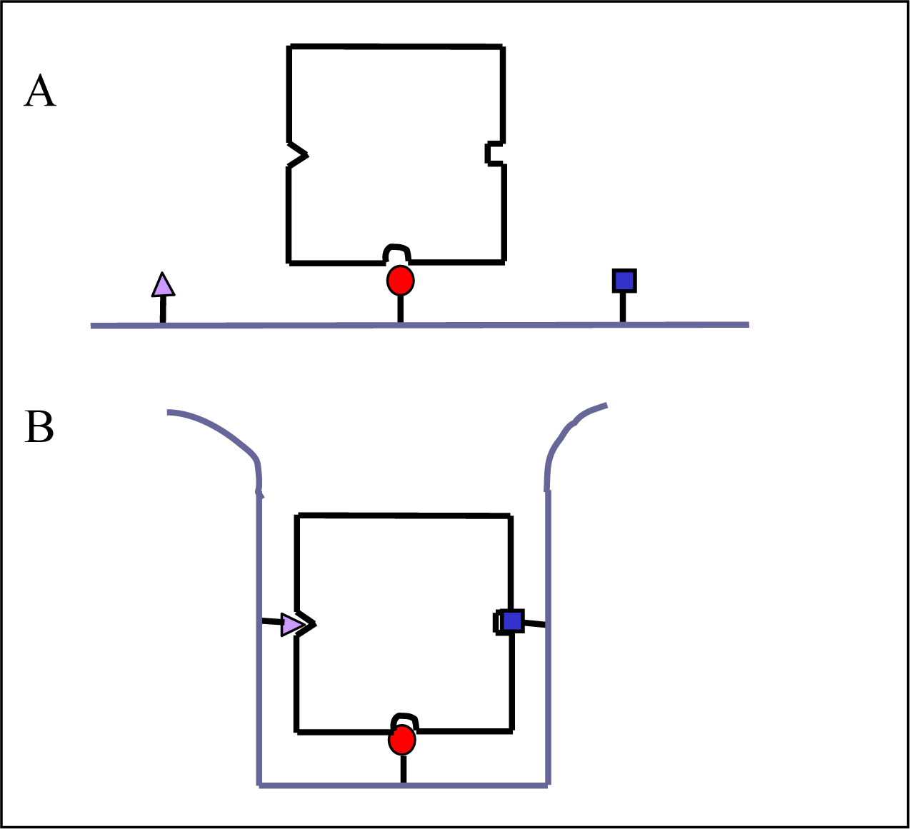 Ijms 10 03283f2 1024