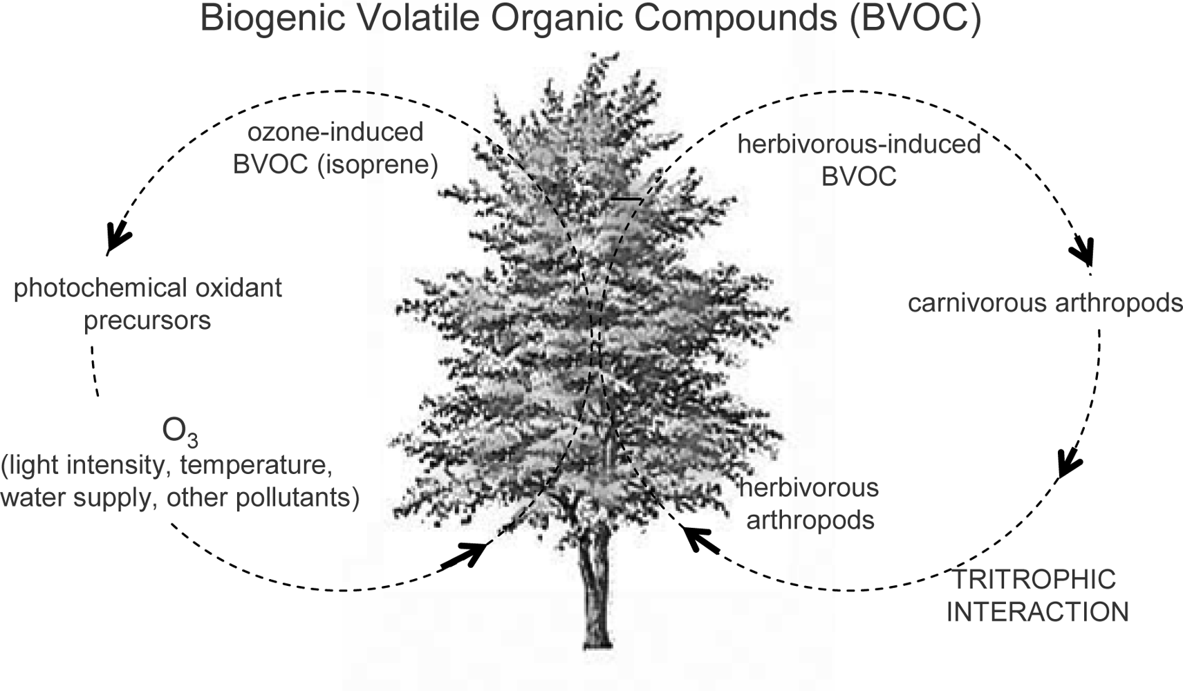 Ijms 10 03371f4 1024