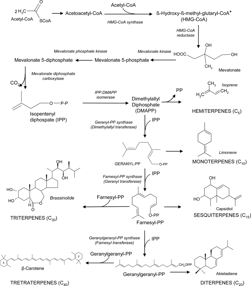 Ijms 10 03371f8 1024