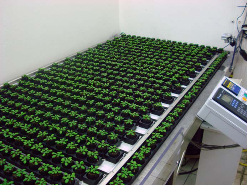 Ijms 10 03547f2 1024